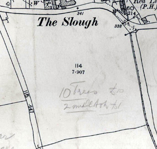 The site of Stanbridge Police House in 1901